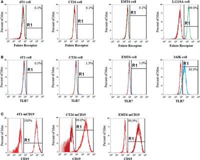 Repolarization of Tumor-Infiltrating Myeloid Cells for Augmentation of CAR T Cell Therapies